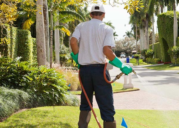 About Lowell IN Pest Control